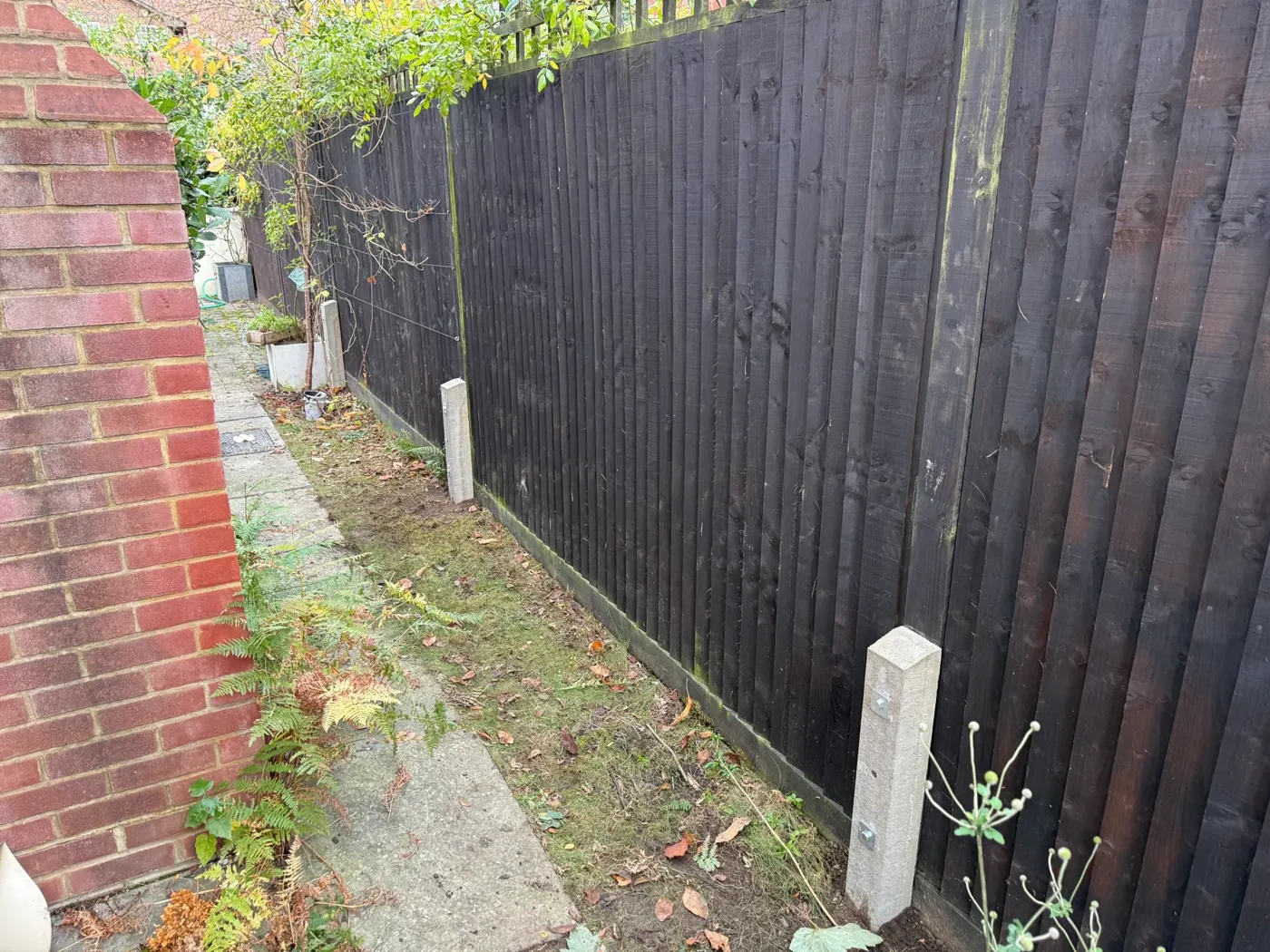 Damaged fence panels being repaired along a garden boundary