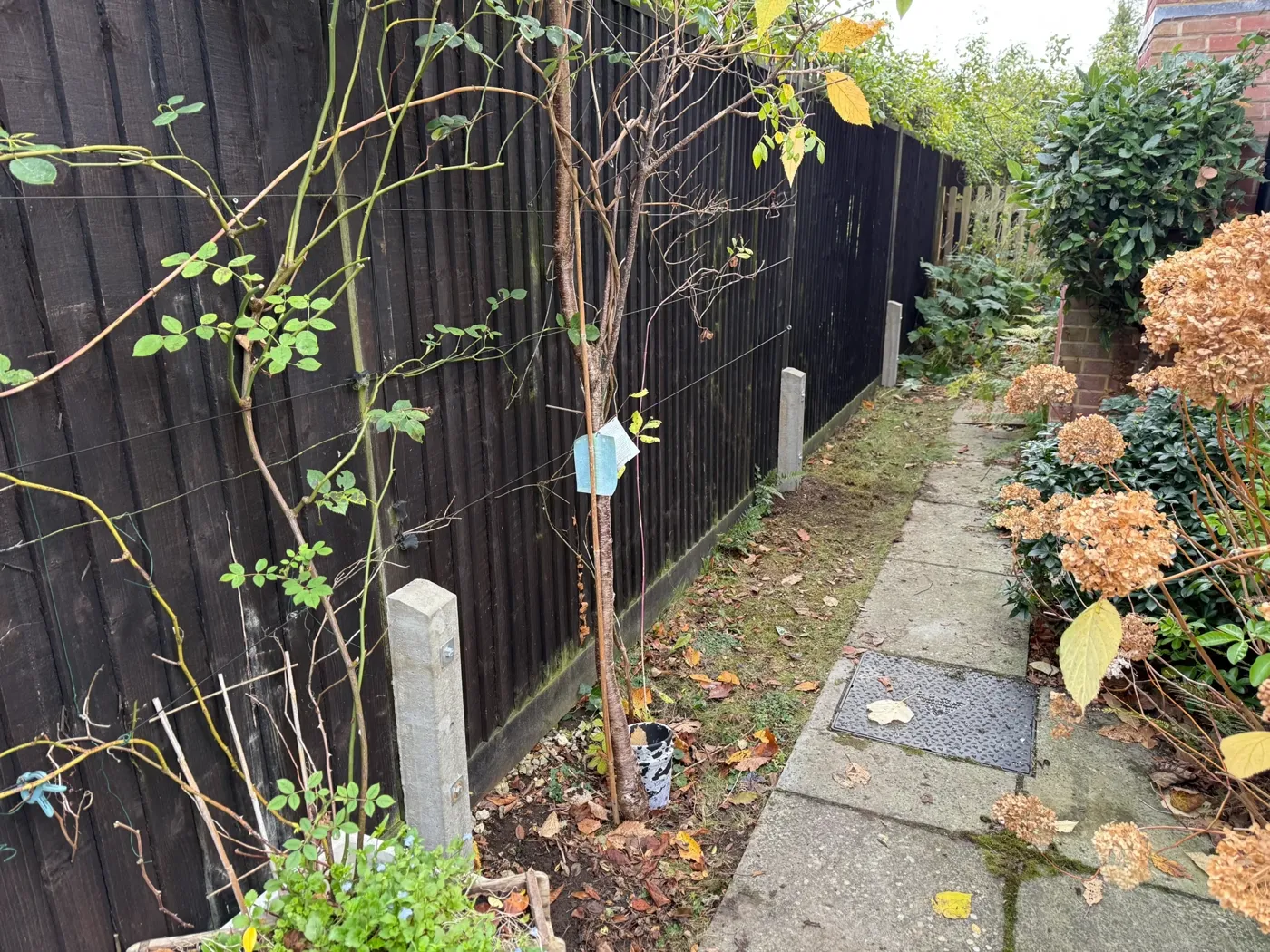 Fence repair work underway on a damaged garden boundary