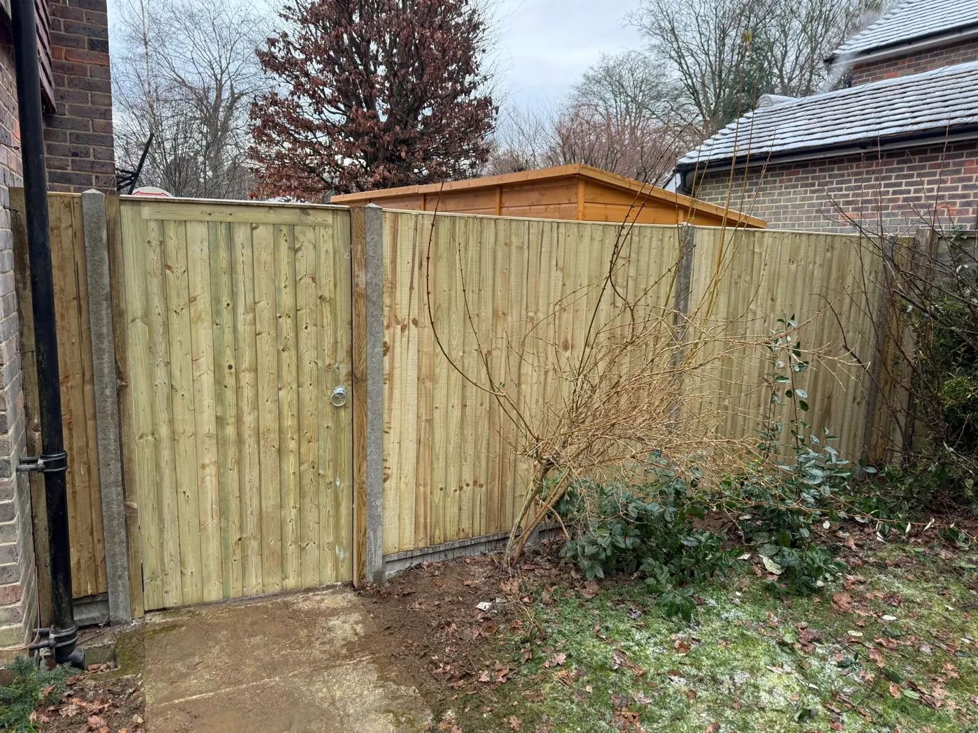 Replacement garden fence panels and matching timber gate