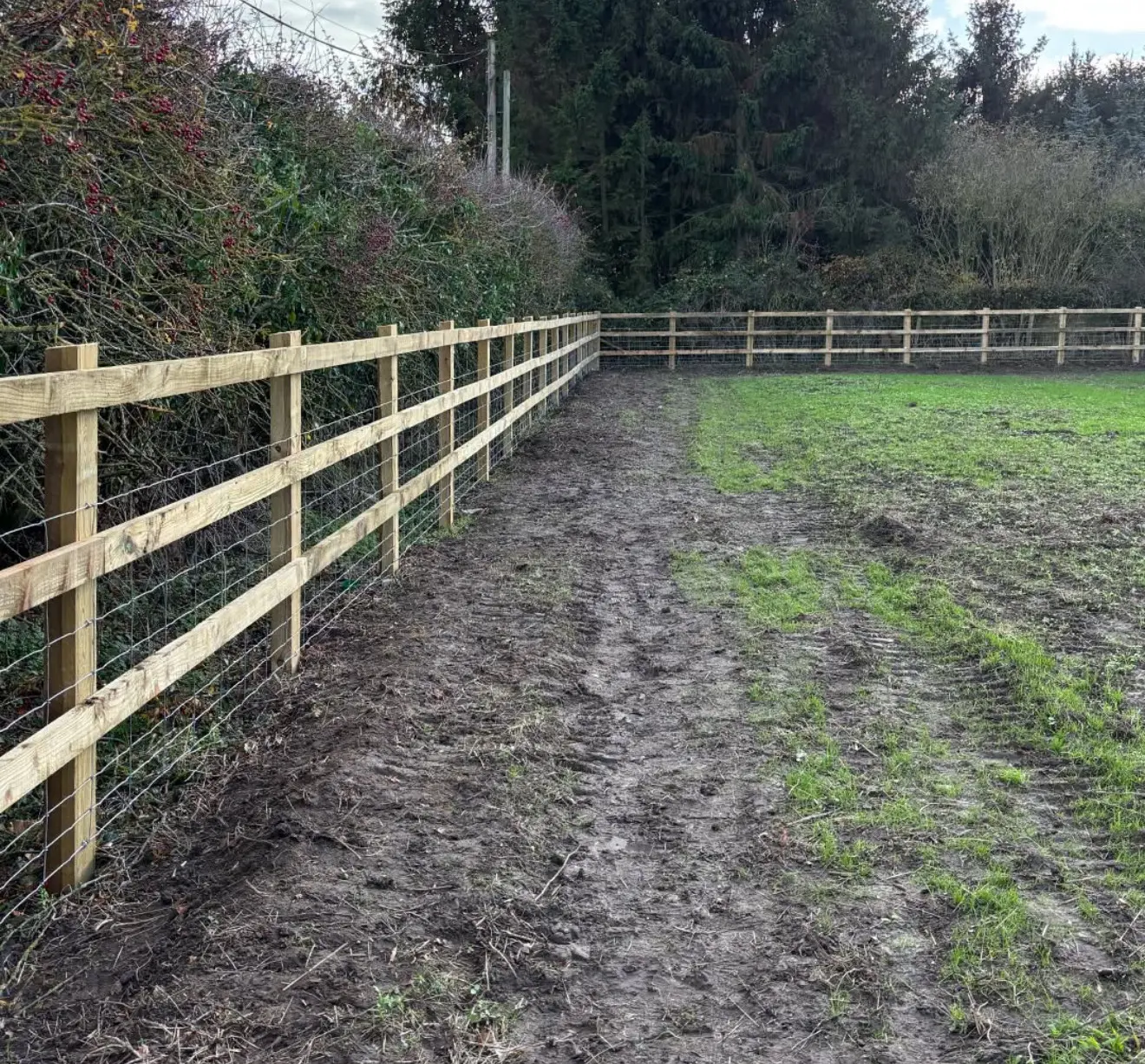 Agricultural post and rail fencing along a field boundary
