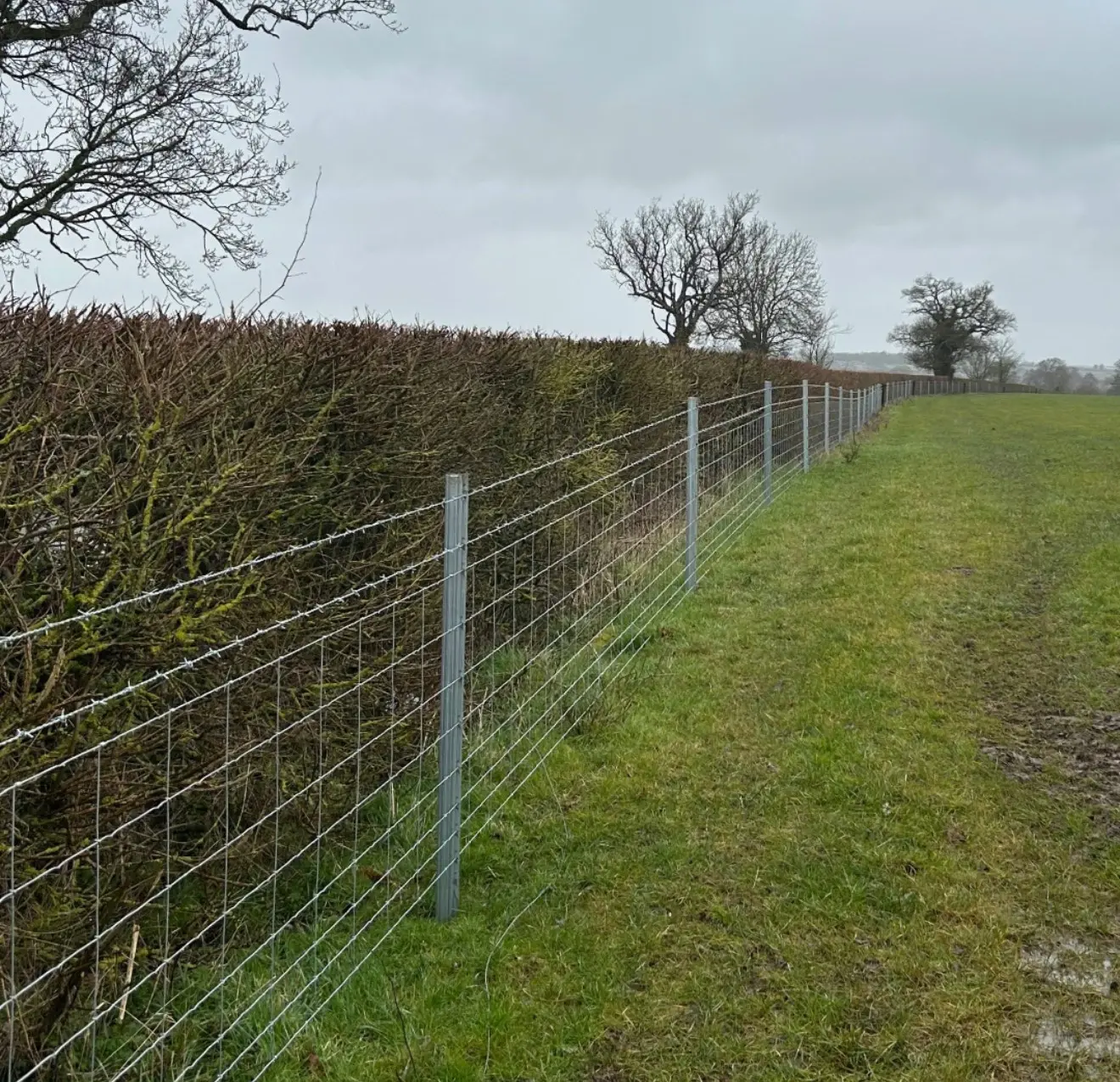 Field boundary fencing running across open farmland