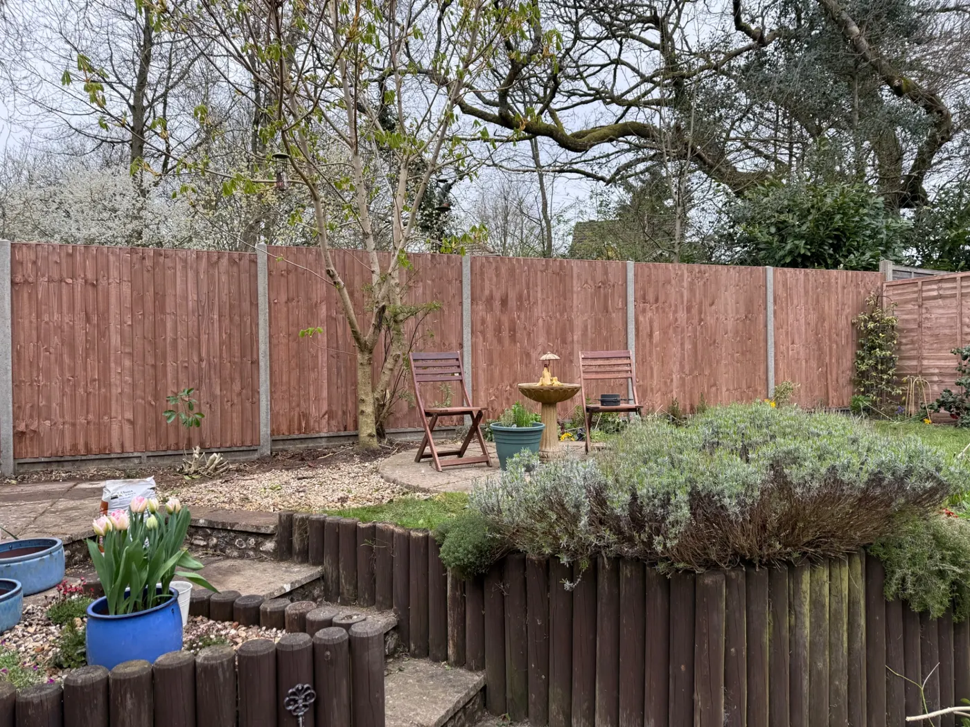 Replacement fence panels around a landscaped garden lawn