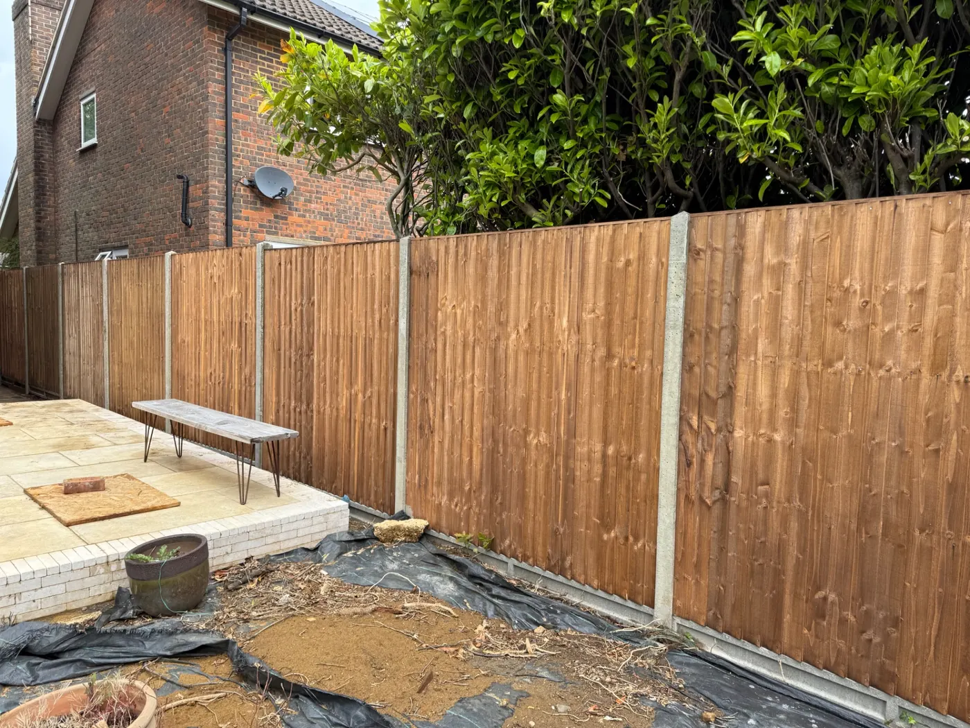 Feather edge fence panels with concrete posts along a garden edge